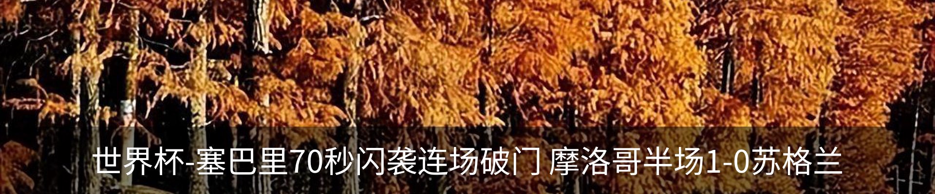 行业资讯