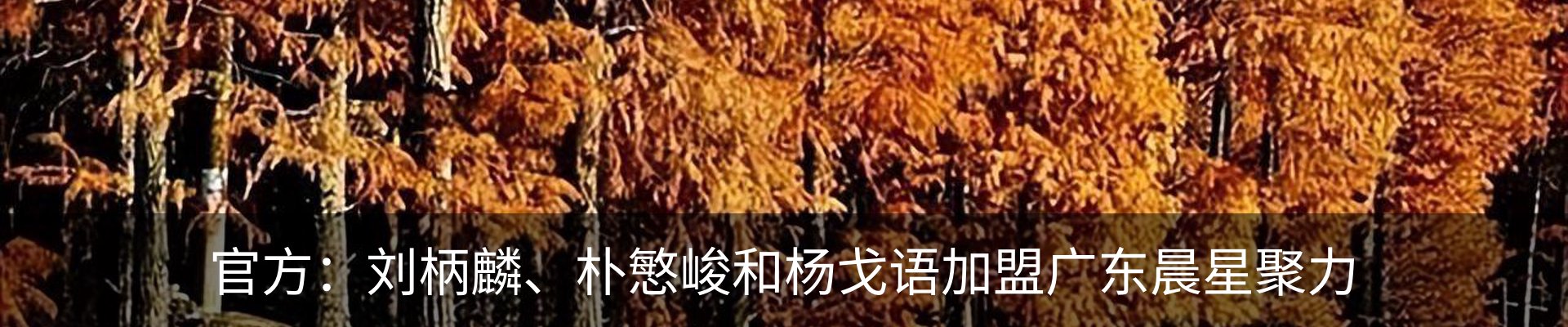 行业资讯
