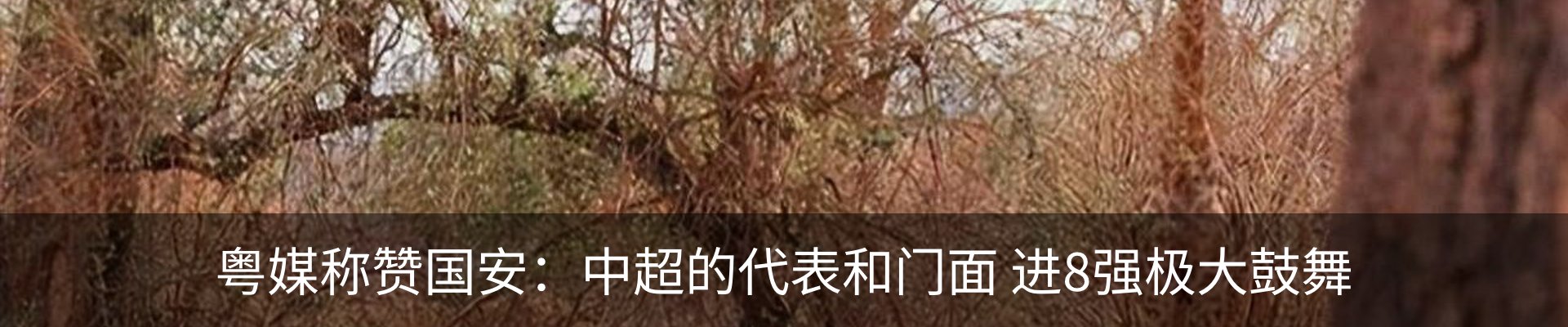 行业资讯